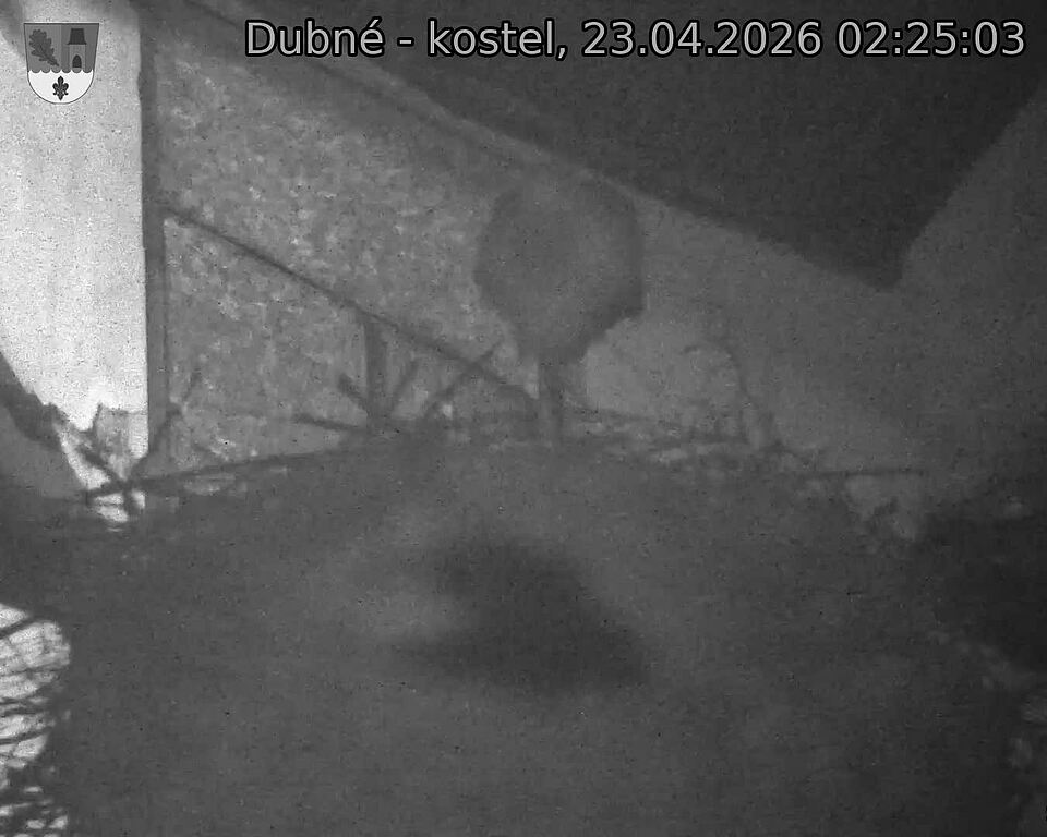 Capi_Dubne_20260423_022503.jpg (1350&nbsp;x&nbsp;1080)