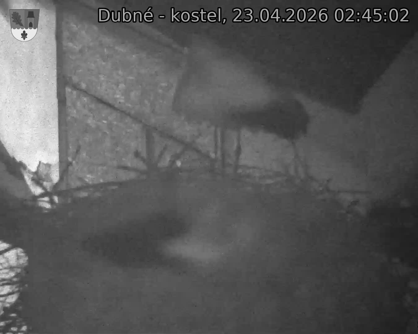 Capi_Dubne_20260423_024502.jpg (1350&nbsp;x&nbsp;1080)