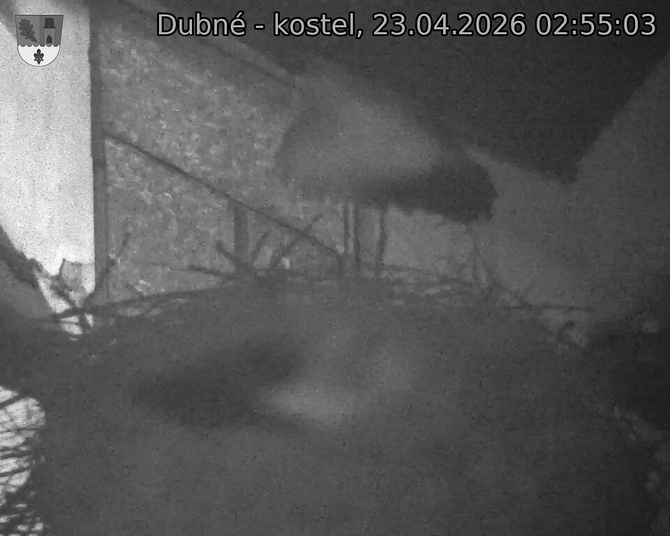 Capi_Dubne_20260423_025503.jpg (1350&nbsp;x&nbsp;1080)