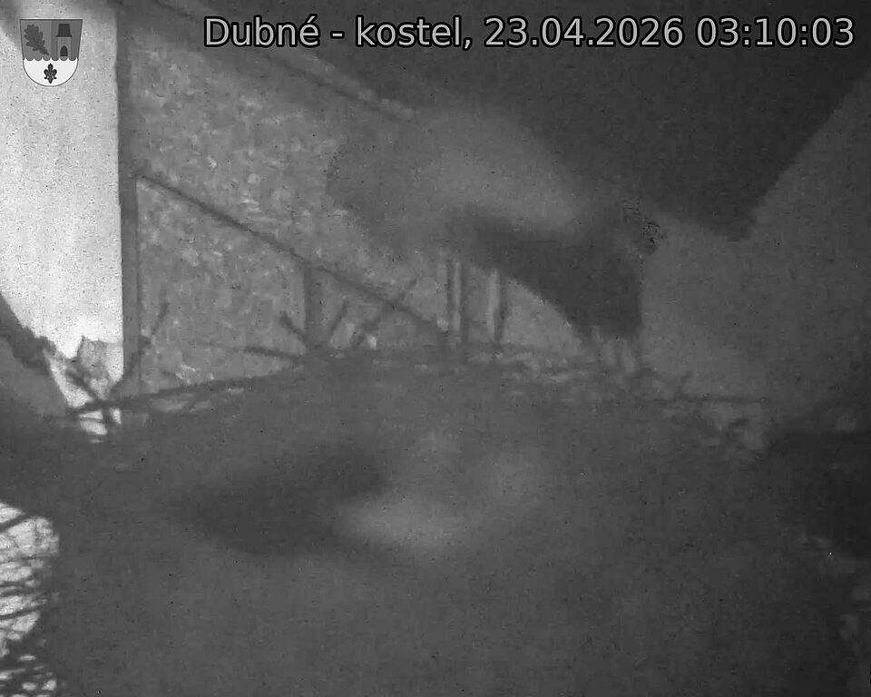 Capi_Dubne_20260423_031003.jpg (1350&nbsp;x&nbsp;1080)