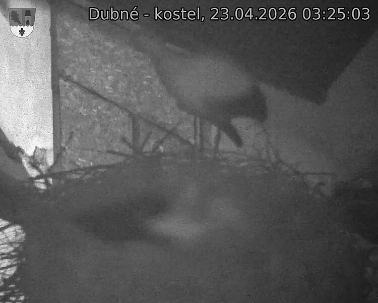 Capi_Dubne_20260423_032503.jpg (1350&nbsp;x&nbsp;1080)