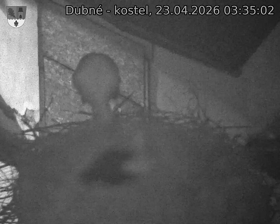 Capi_Dubne_20260423_033502.jpg (1350&nbsp;x&nbsp;1080)