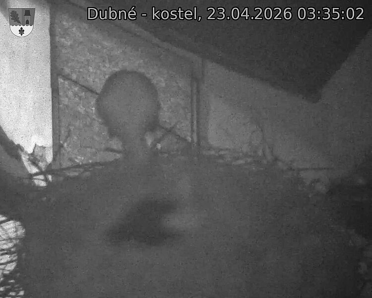 Capi_Dubne_20260423_033502.jpg (1350&nbsp;x&nbsp;1080)