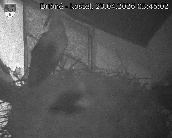 Capi_Dubne_20260423_034502.jpg (1350&nbsp;x&nbsp;1080)