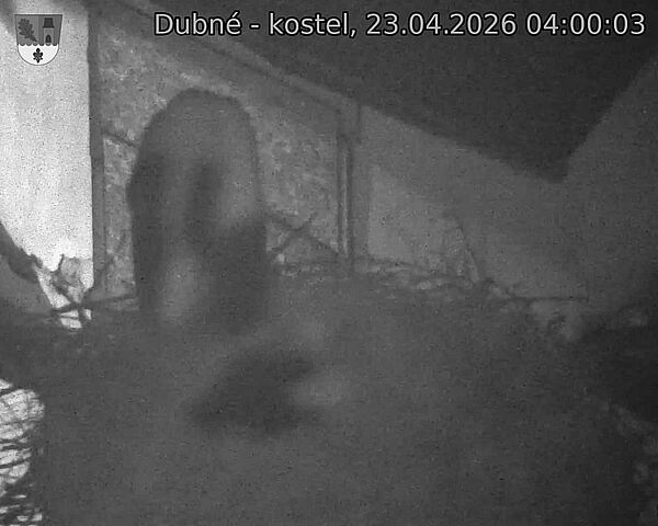 Capi_Dubne_20260423_040003.jpg (1350&nbsp;x&nbsp;1080)