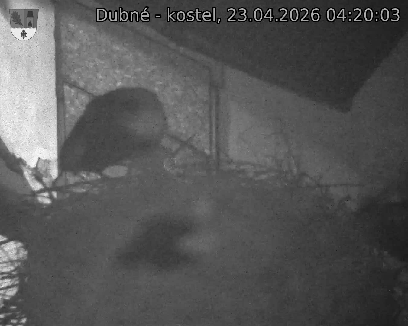 Capi_Dubne_20260423_042003.jpg (1350&nbsp;x&nbsp;1080)