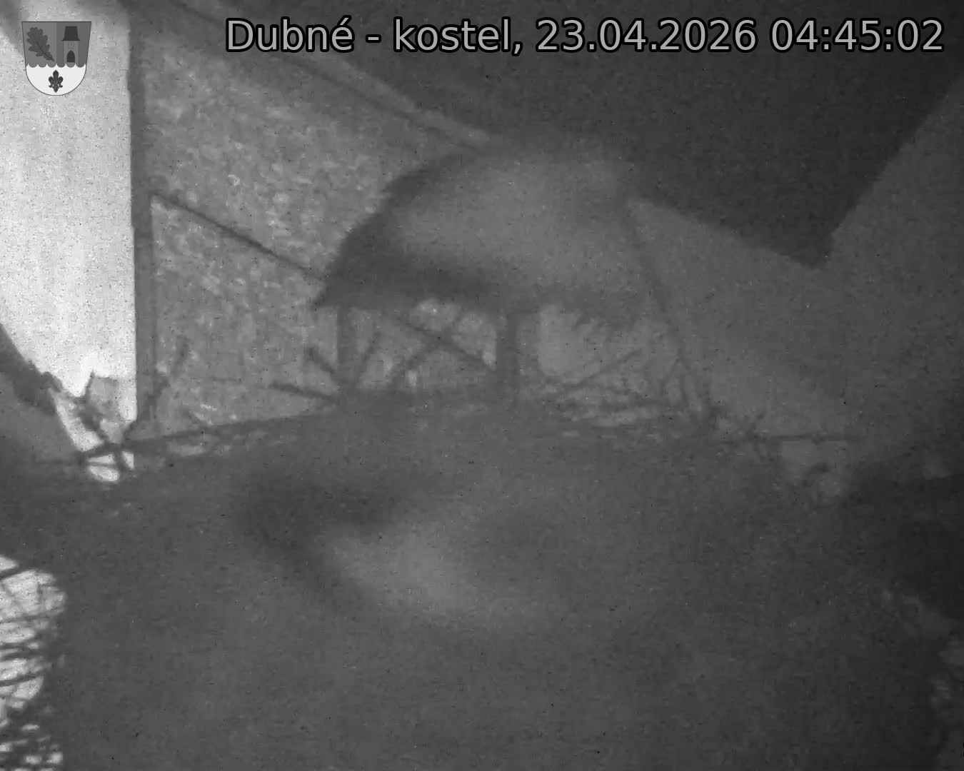 Capi_Dubne_20260423_044502.jpg (1350&nbsp;x&nbsp;1080)