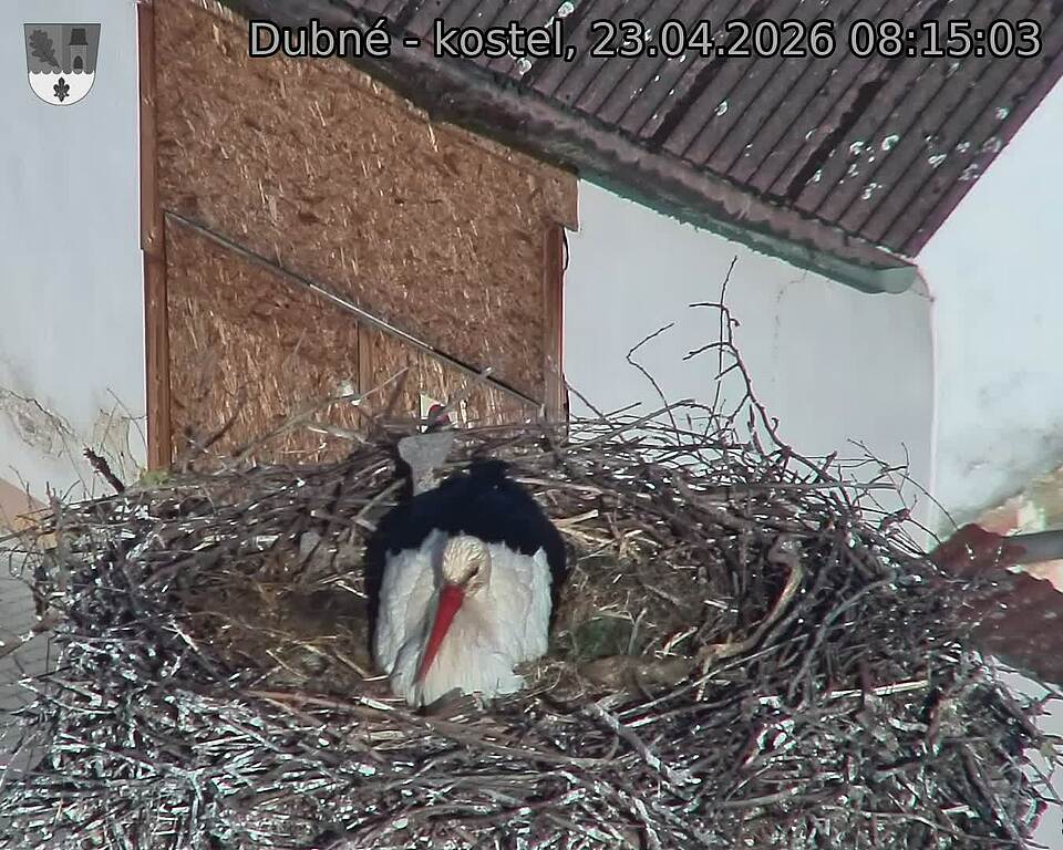 Capi_Dubne_20260423_081503.jpg (1350&nbsp;x&nbsp;1080)