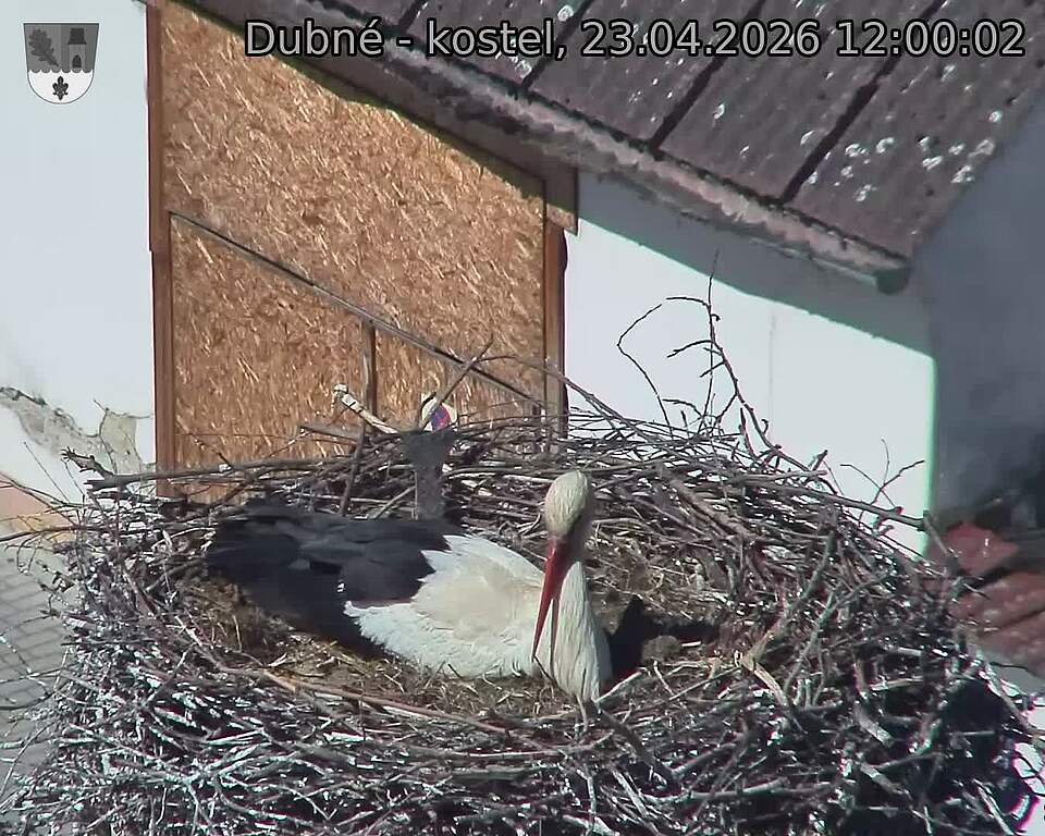 Capi_Dubne_20260423_120002.jpg (1350&nbsp;x&nbsp;1080)