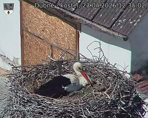 Capi_Dubne_20260423_123502.jpg (1350&nbsp;x&nbsp;1080)