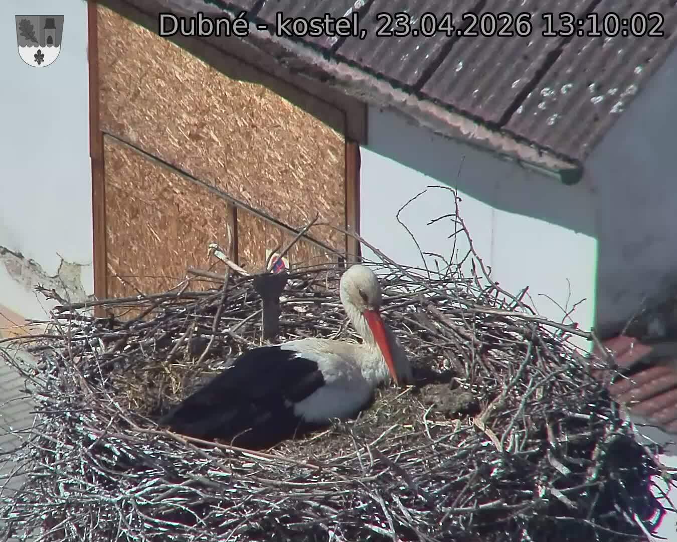 Capi_Dubne_20260423_131002.jpg (1350&nbsp;x&nbsp;1080)