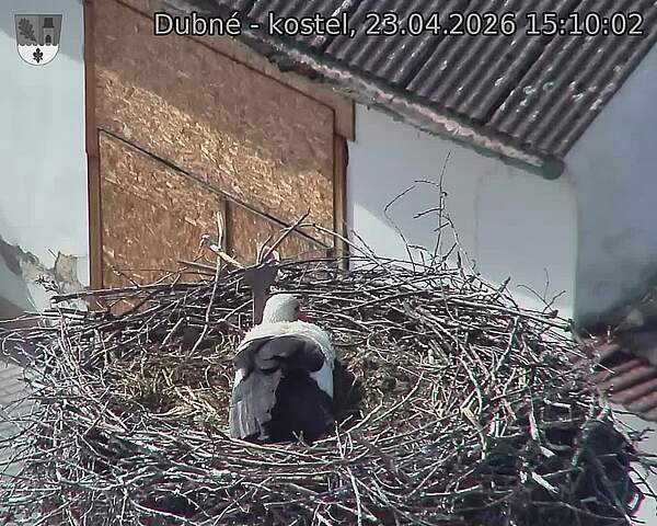 Capi_Dubne_20260423_151002.jpg (1350&nbsp;x&nbsp;1080)