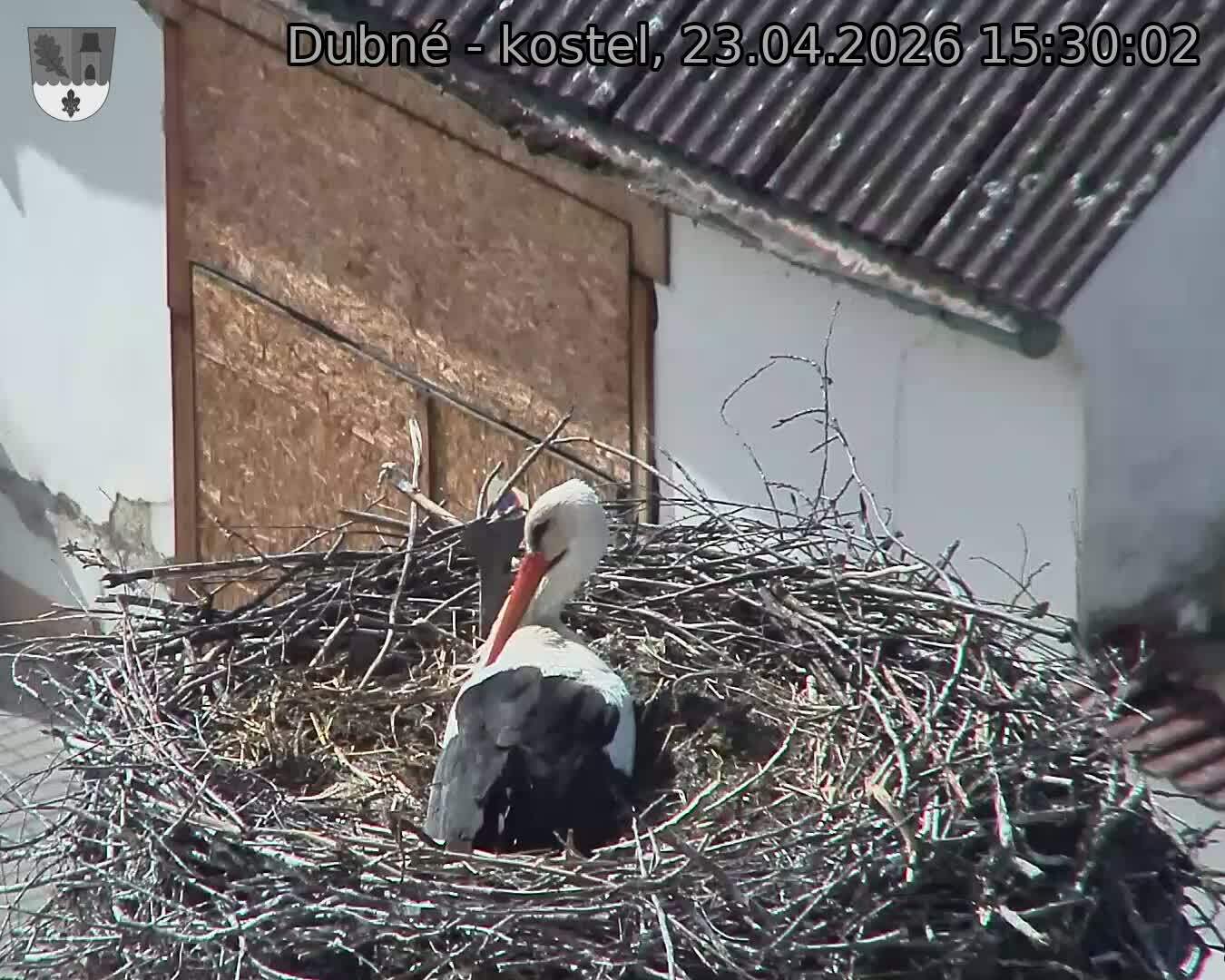 Capi_Dubne_20260423_153002.jpg (1350&nbsp;x&nbsp;1080)