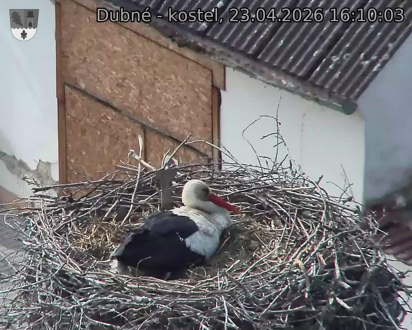 Capi_Dubne_20260423_161003.jpg (1350&nbsp;x&nbsp;1080)