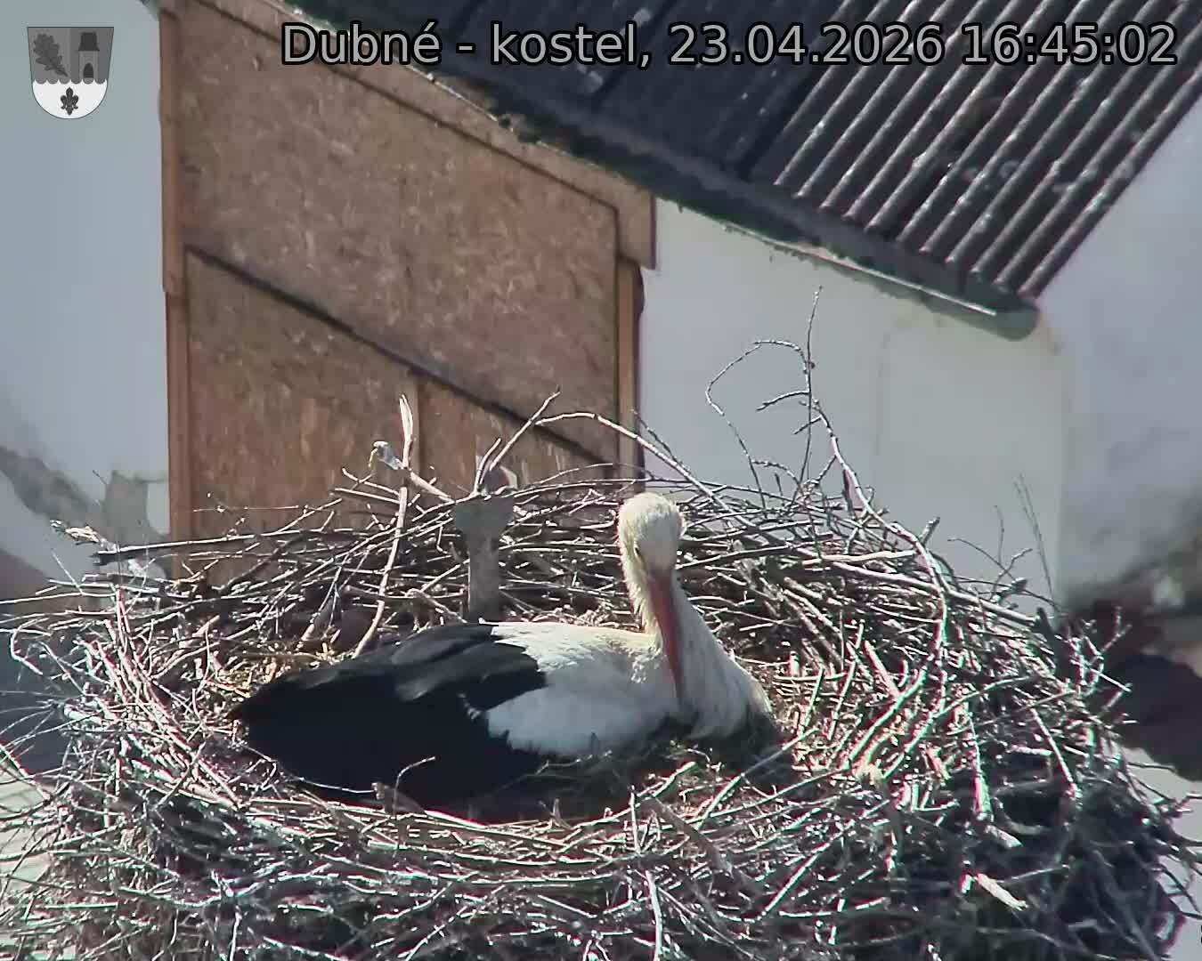 Capi_Dubne_20260423_164502.jpg (1350&nbsp;x&nbsp;1080)