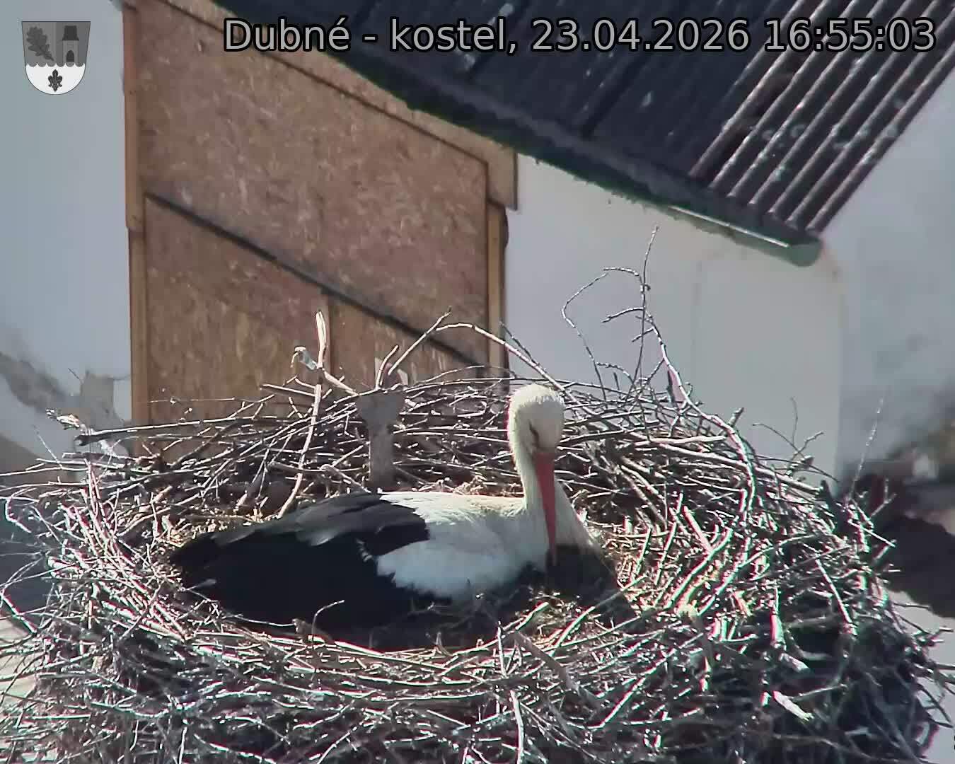 Capi_Dubne_20260423_165503.jpg (1350&nbsp;x&nbsp;1080)