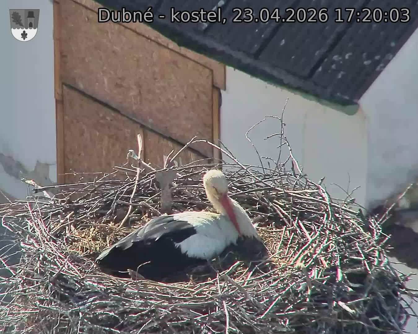 Capi_Dubne_20260423_172003.jpg (1350&nbsp;x&nbsp;1080)