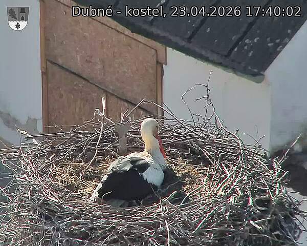 Capi_Dubne_20260423_174002.jpg (1350&nbsp;x&nbsp;1080)