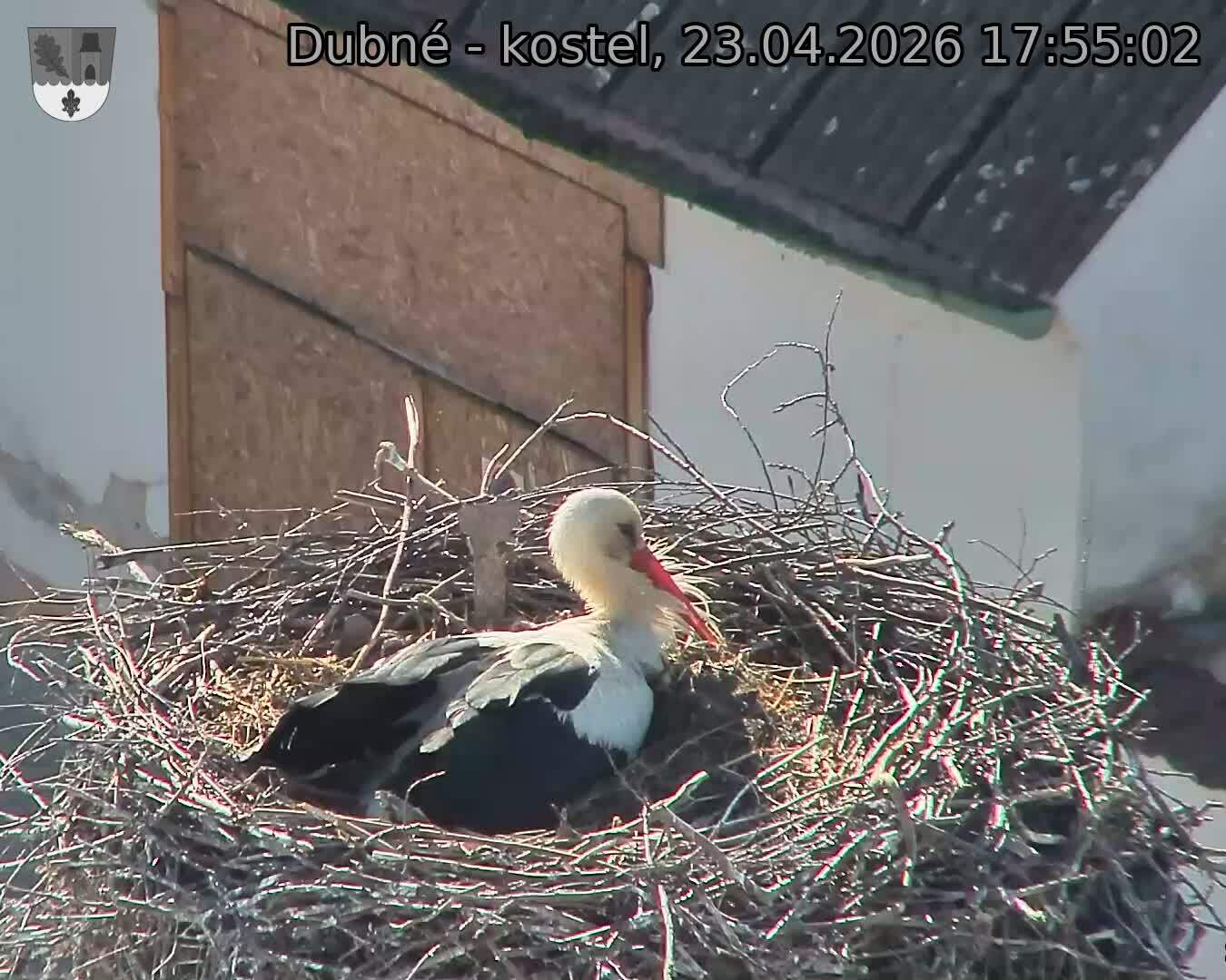 Capi_Dubne_20260423_175502.jpg (1350&nbsp;x&nbsp;1080)