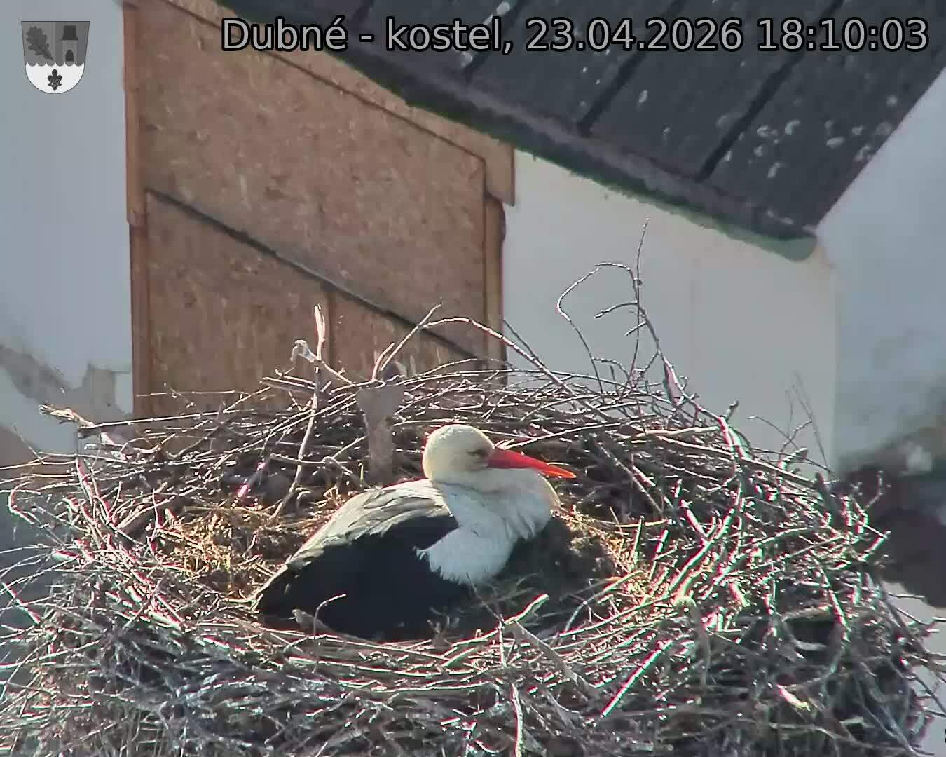 Capi_Dubne_20260423_181003.jpg (1350&nbsp;x&nbsp;1080)