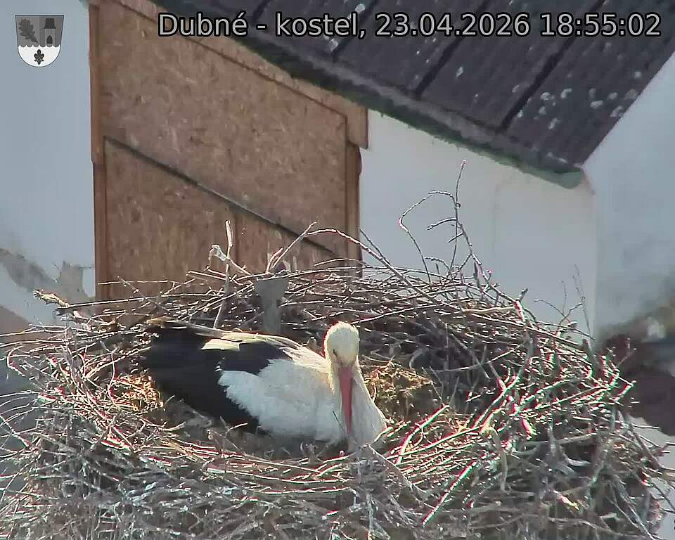 Capi_Dubne_20260423_185502.jpg (1350&nbsp;x&nbsp;1080)