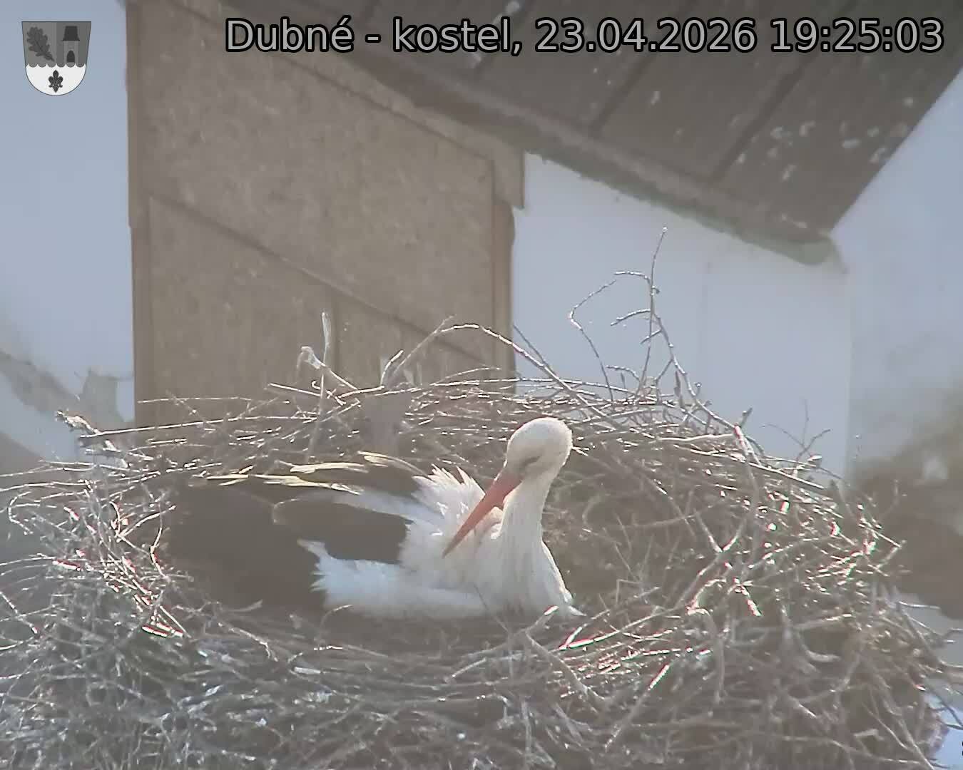 Capi_Dubne_20260423_192503.jpg (1350&nbsp;x&nbsp;1080)