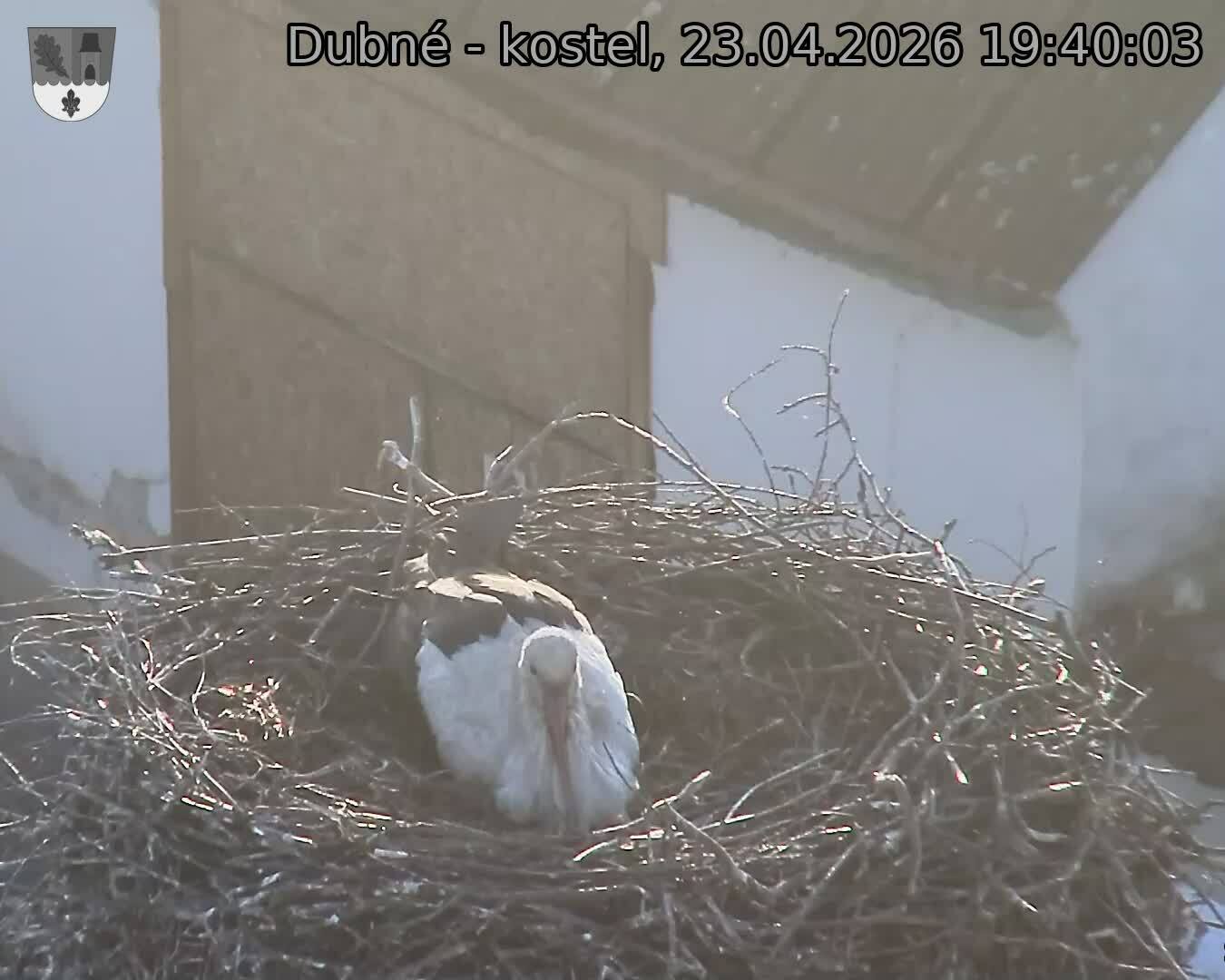 Capi_Dubne_20260423_194003.jpg (1350&nbsp;x&nbsp;1080)