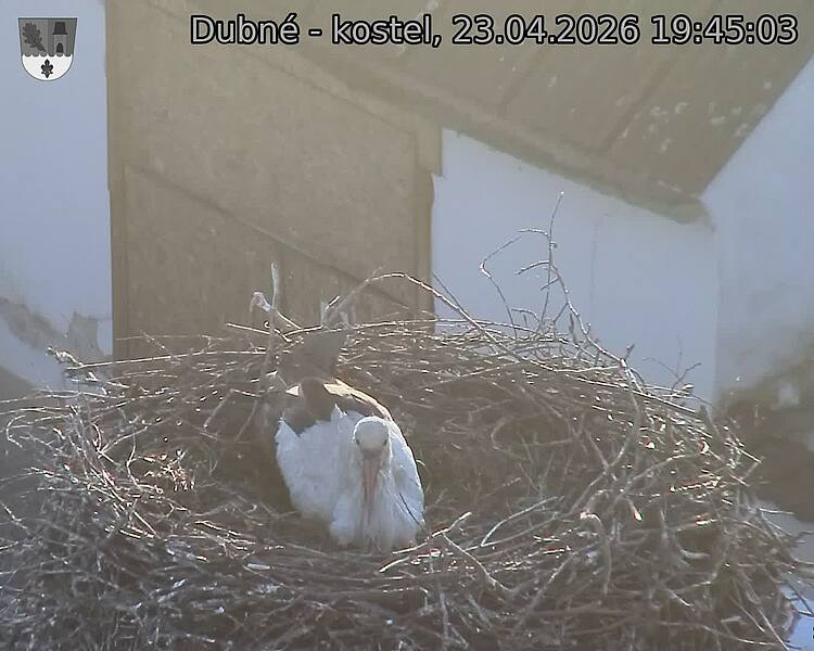 Capi_Dubne_20260423_194503.jpg (1350&nbsp;x&nbsp;1080)