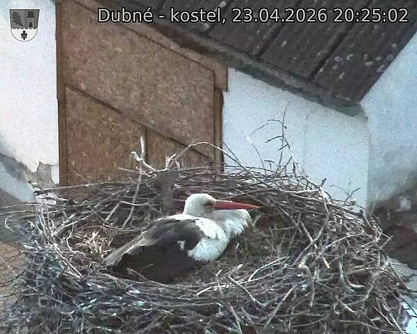 Capi_Dubne_20260423_202502.jpg (1350&nbsp;x&nbsp;1080)