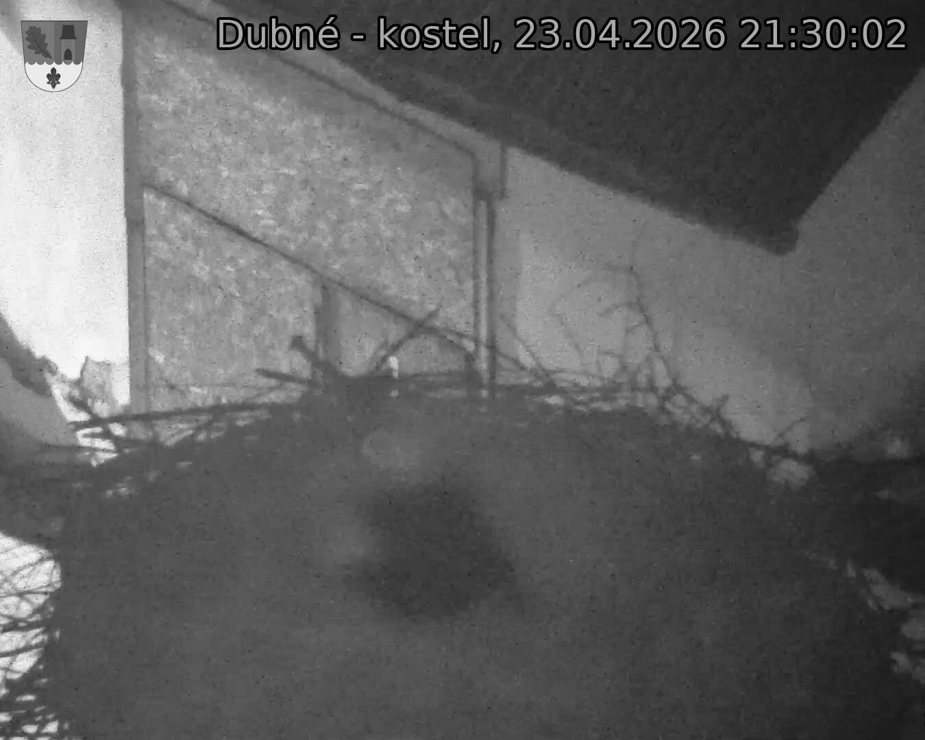 Capi_Dubne_20260423_213002.jpg (1350&nbsp;x&nbsp;1080)