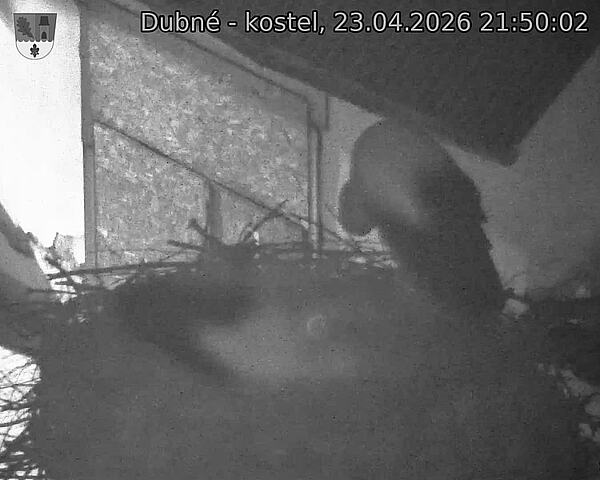 Capi_Dubne_20260423_215002.jpg (1350&nbsp;x&nbsp;1080)