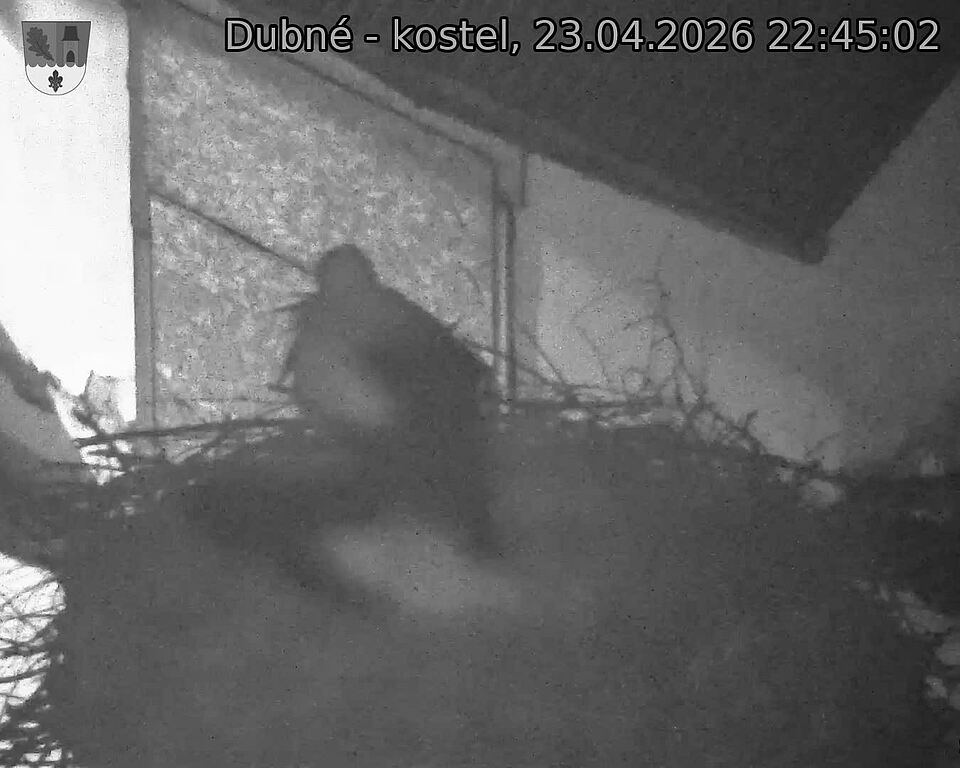 Capi_Dubne_20260423_224502.jpg (1350&nbsp;x&nbsp;1080)