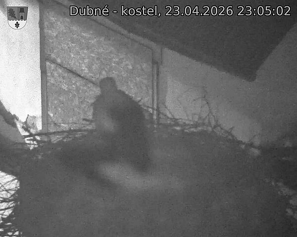 Capi_Dubne_20260423_230502.jpg (1350&nbsp;x&nbsp;1080)