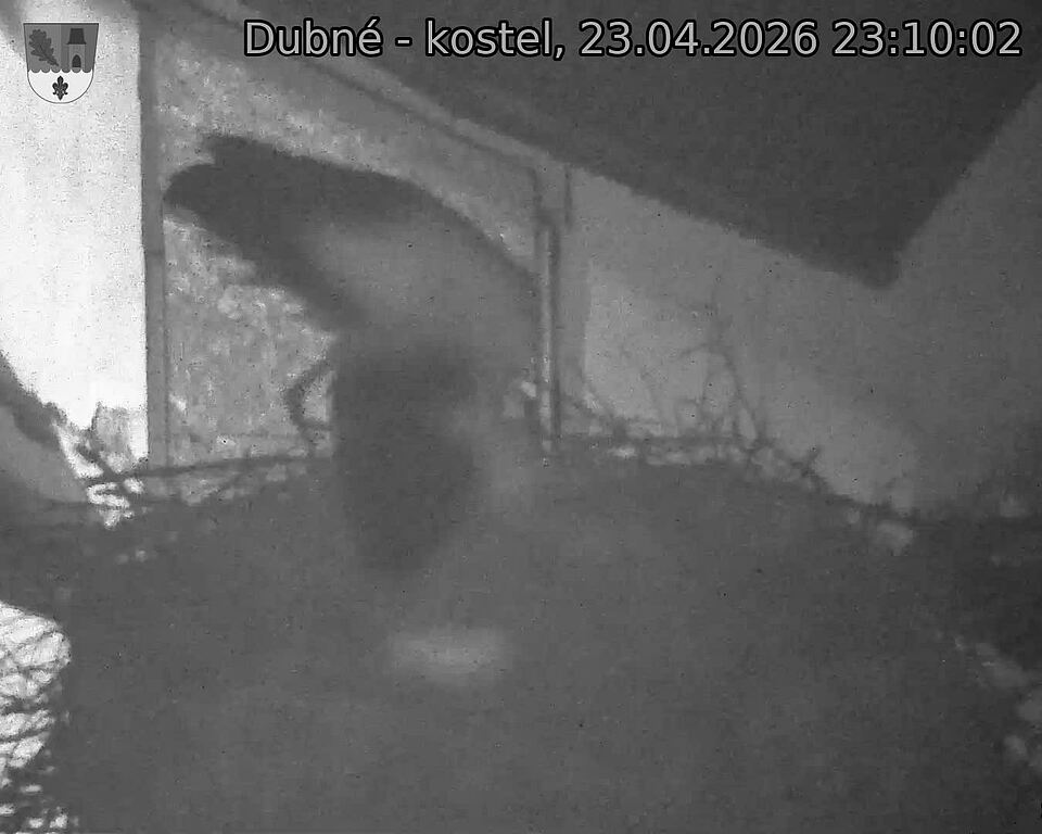 Capi_Dubne_20260423_231002.jpg (1350&nbsp;x&nbsp;1080)