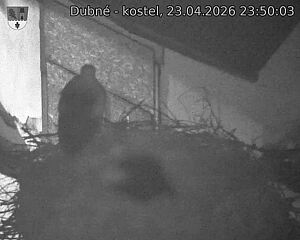 Capi_Dubne_20260423_235003.jpg (1350&nbsp;x&nbsp;1080)