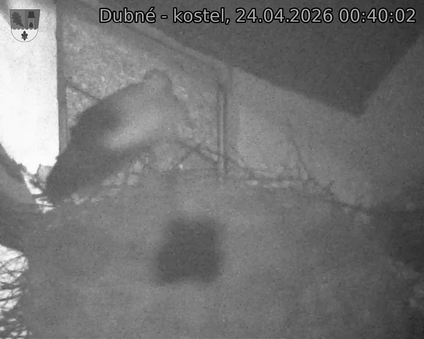 Capi_Dubne_20260424_004002.jpg (1350&nbsp;x&nbsp;1080)
