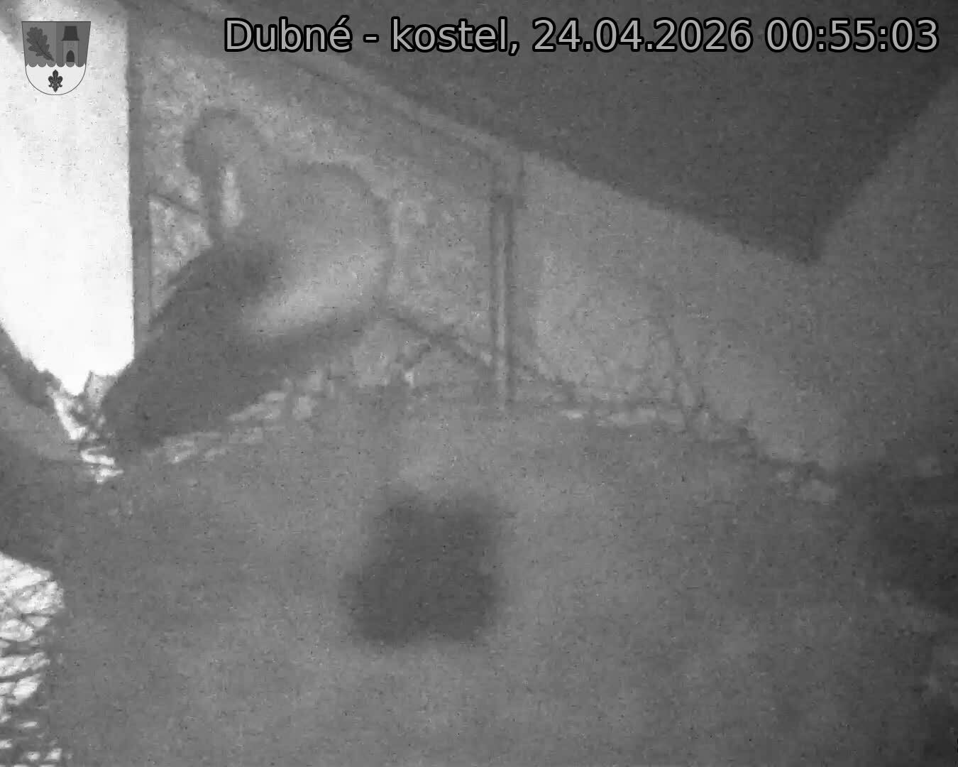 Capi_Dubne_20260424_005503.jpg (1350&nbsp;x&nbsp;1080)