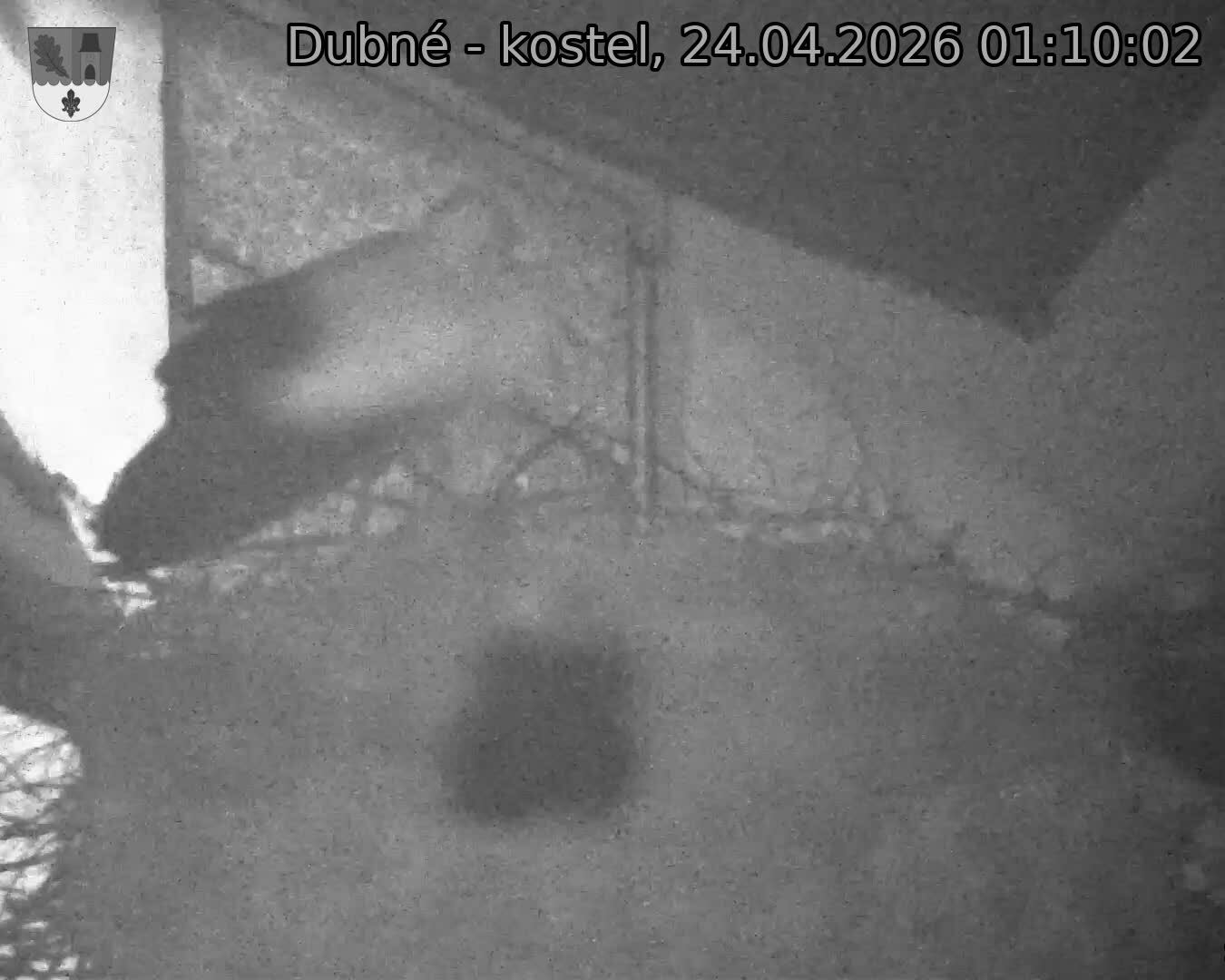 Capi_Dubne_20260424_011002.jpg (1350&nbsp;x&nbsp;1080)