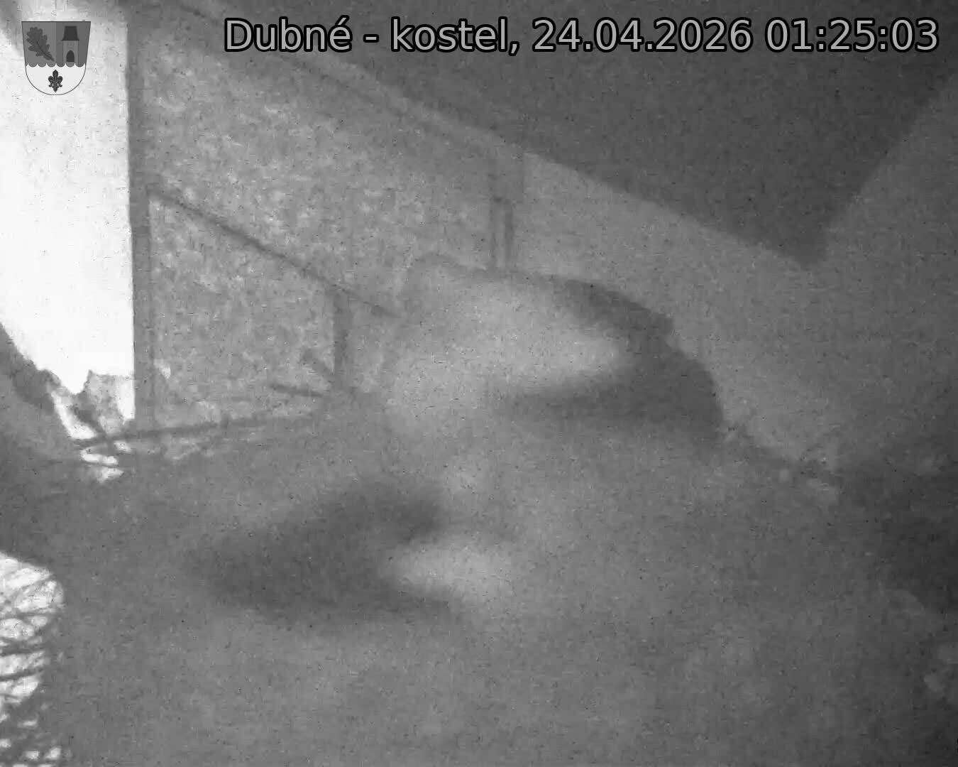 Capi_Dubne_20260424_012503.jpg (1350&nbsp;x&nbsp;1080)