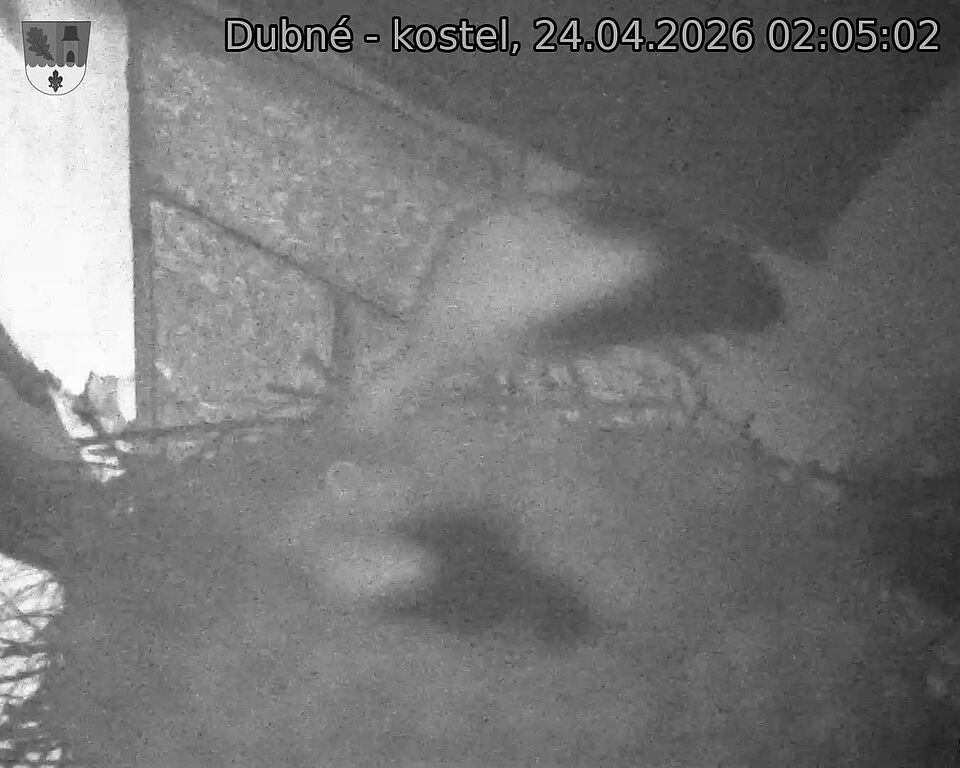 Capi_Dubne_20260424_020502.jpg (1350&nbsp;x&nbsp;1080)