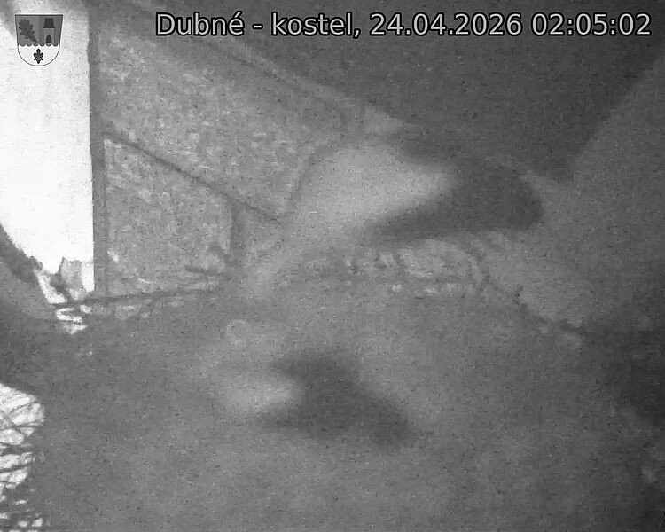Capi_Dubne_20260424_020502.jpg (1350&nbsp;x&nbsp;1080)