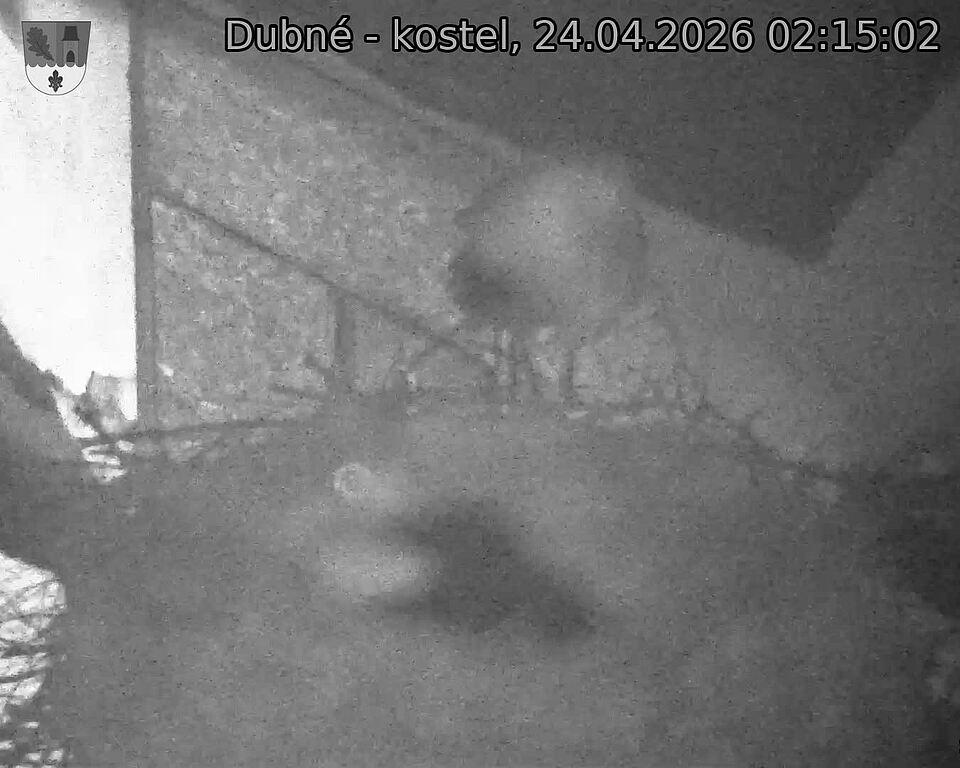 Capi_Dubne_20260424_021502.jpg (1350&nbsp;x&nbsp;1080)