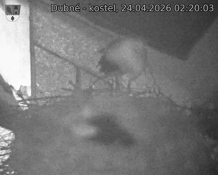 Capi_Dubne_20260424_022003.jpg (1350&nbsp;x&nbsp;1080)