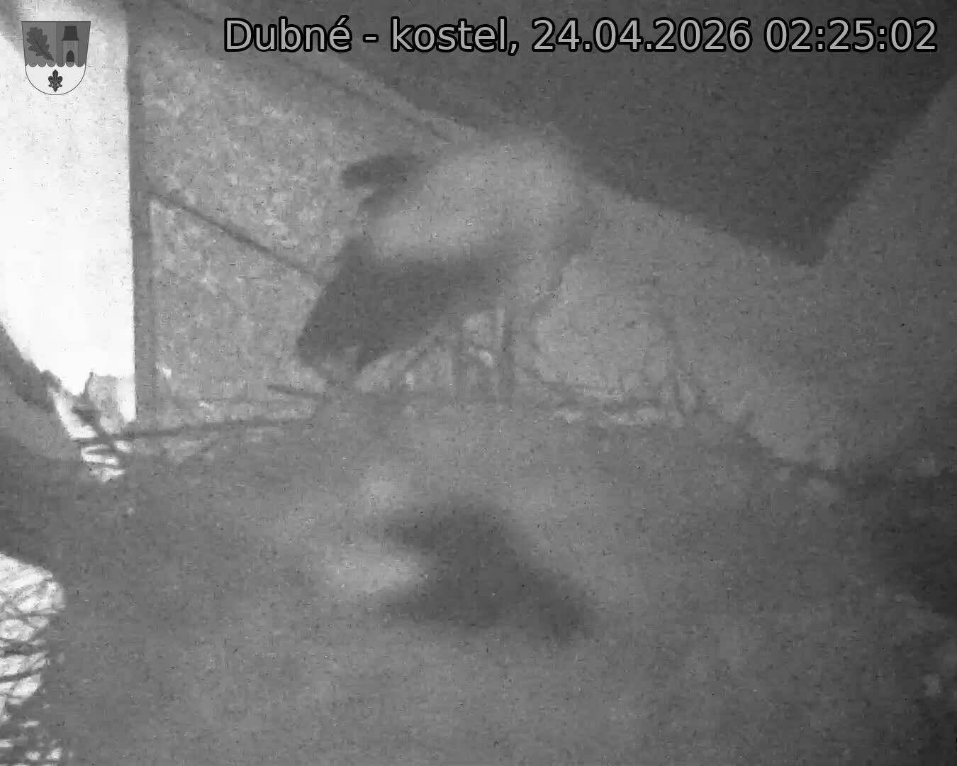 Capi_Dubne_20260424_022502.jpg (1350&nbsp;x&nbsp;1080)