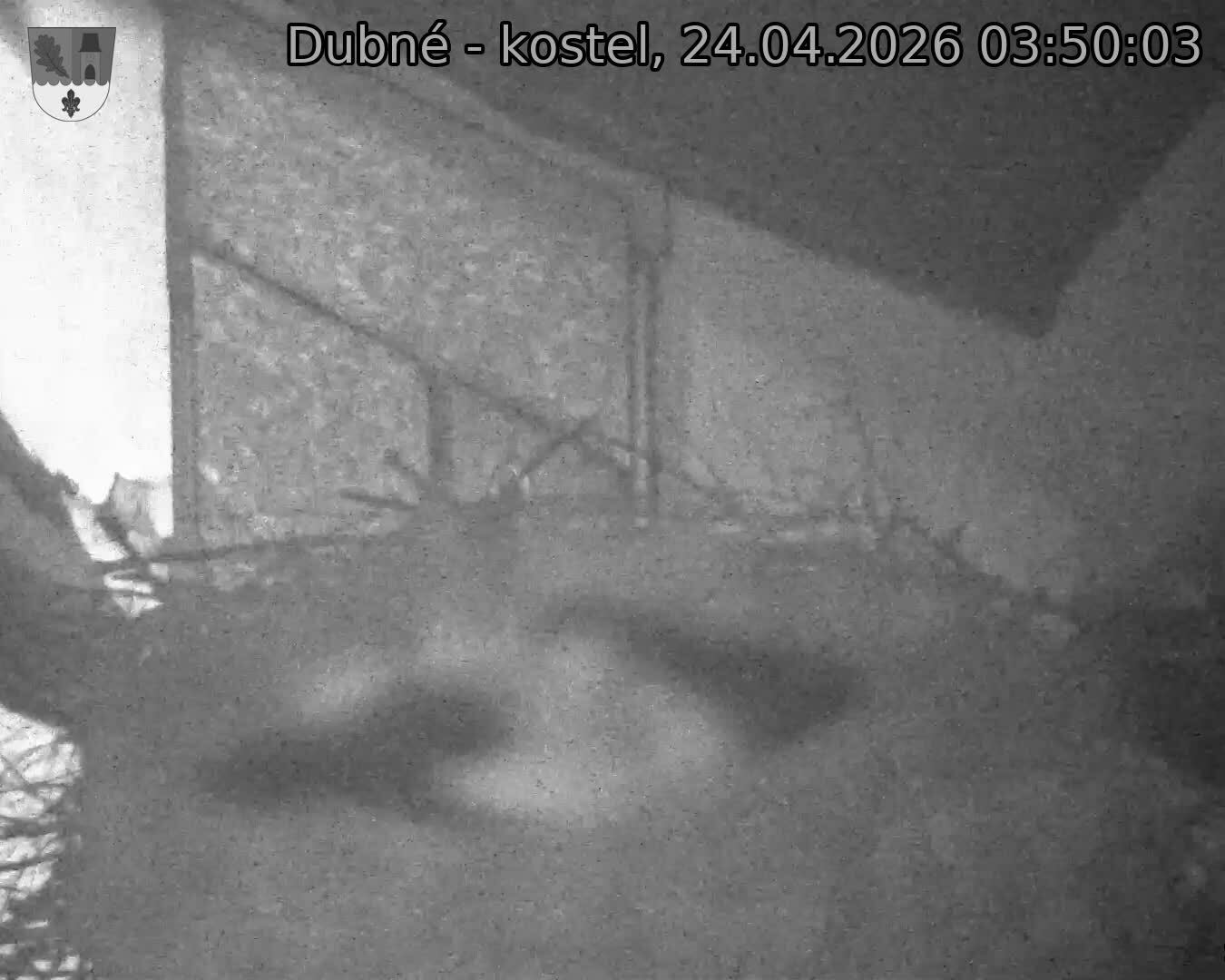 Capi_Dubne_20260424_035003.jpg (1350&nbsp;x&nbsp;1080)