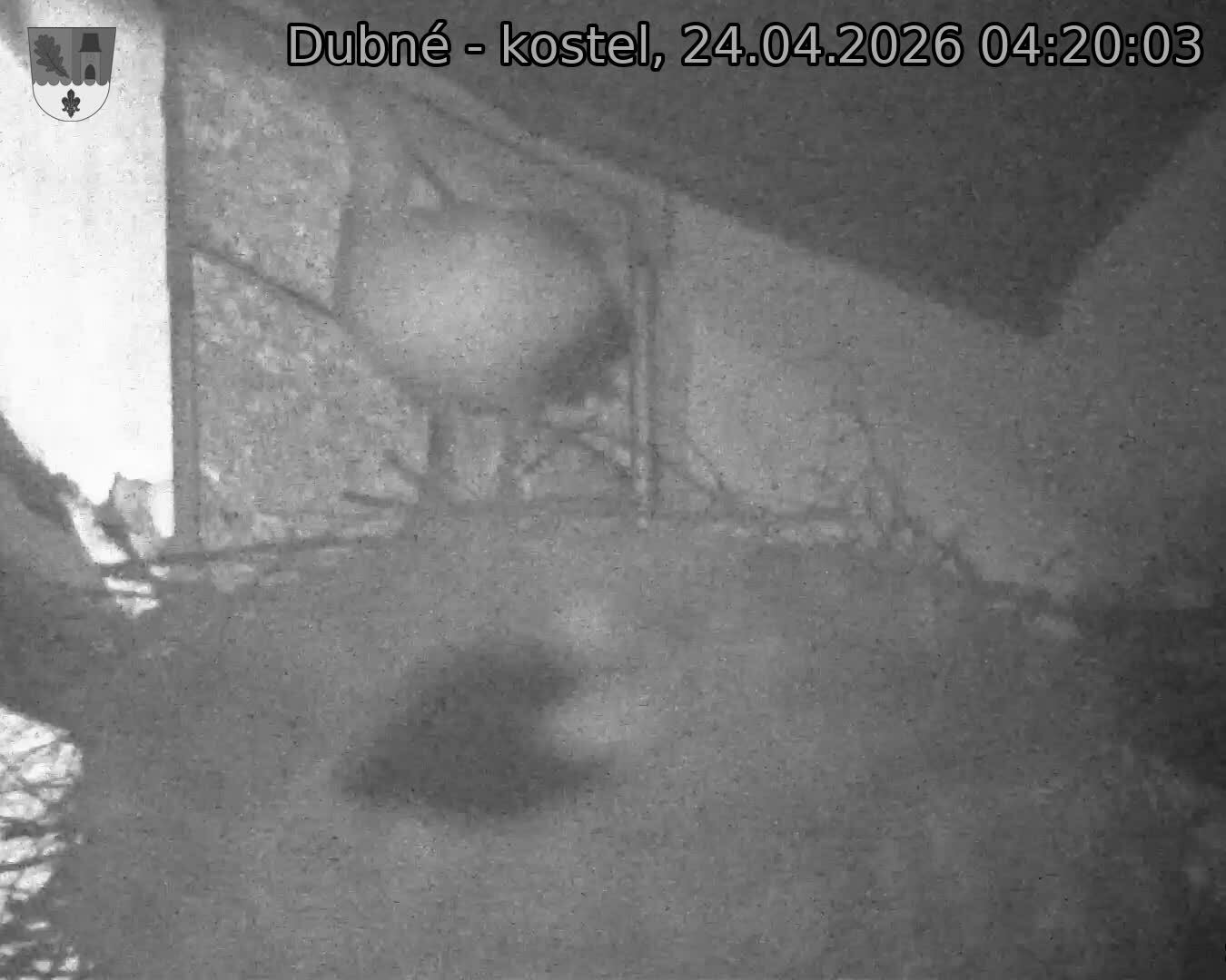 Capi_Dubne_20260424_042003.jpg (1350&nbsp;x&nbsp;1080)