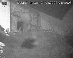 Capi_Dubne_20260424_044003.jpg (1350&nbsp;x&nbsp;1080)