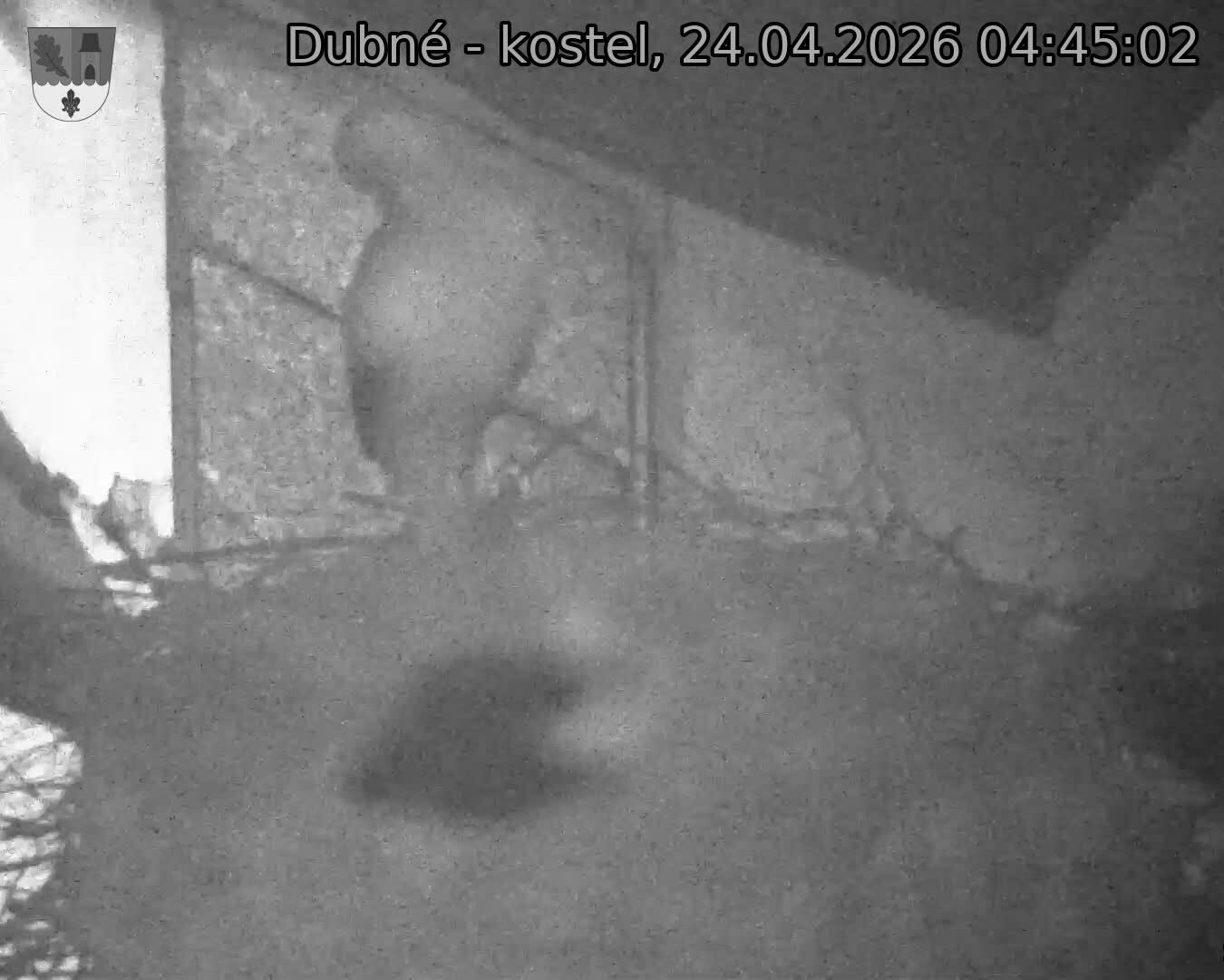 Capi_Dubne_20260424_044502.jpg (1350&nbsp;x&nbsp;1080)