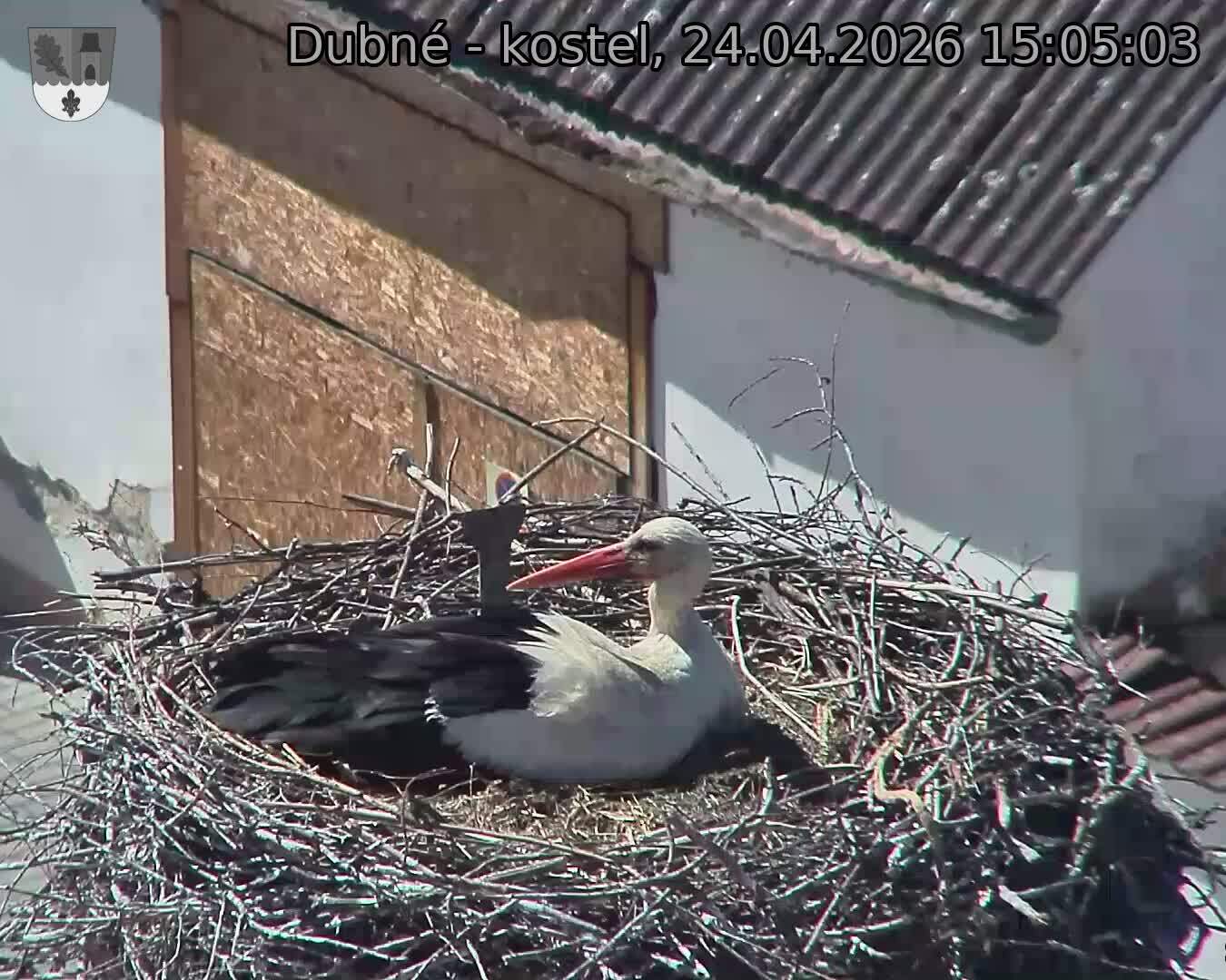 Capi_Dubne_20260424_150503.jpg (1350&nbsp;x&nbsp;1080)