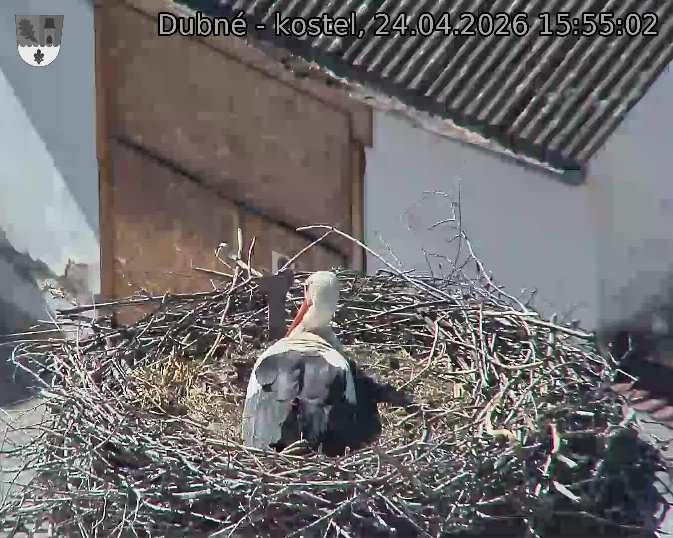 Capi_Dubne_20260424_155502.jpg (1350&nbsp;x&nbsp;1080)